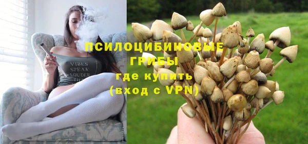бошки Алексин